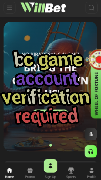 BC Game Account Verification Required - Fix Now-vz72fvrf.com